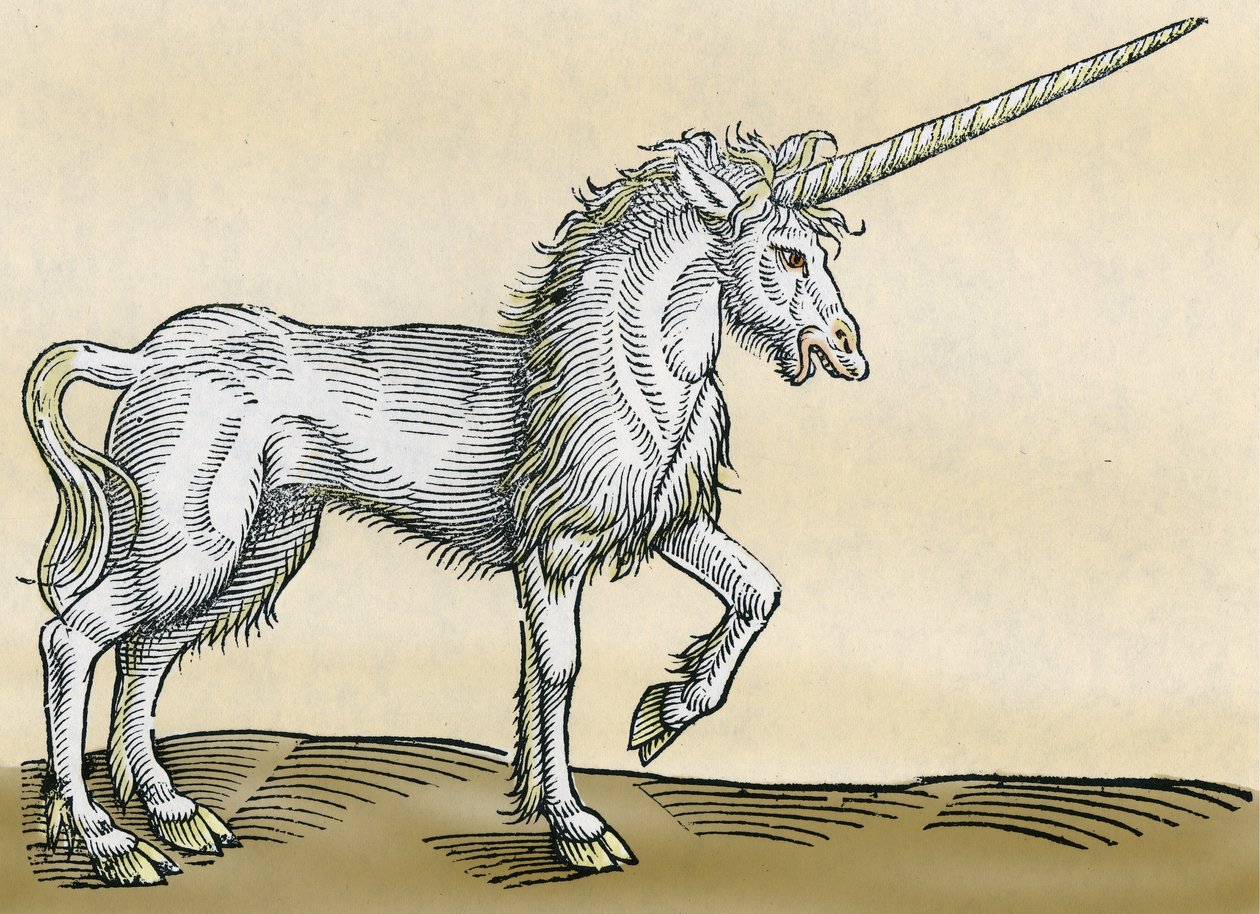 Yksisarvinen, Conrad Gesnerin kuvitus Historia Animaliumista, 1551 tekijältä Swiss School