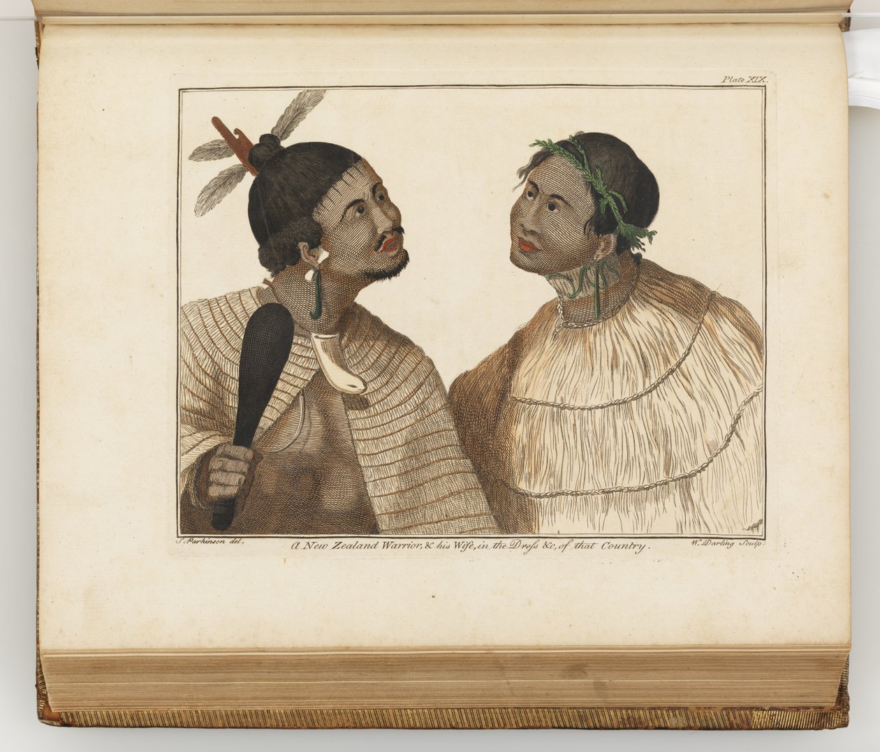 Uusiseelantilainen soturi ja hänen vaimonsa, kuva päiväkirjasta matkasta Etelämerille: His Majestysin aluksessa, Endeavour, 1794 (käsinvärinen kaiverrus) tekijältä Sydney