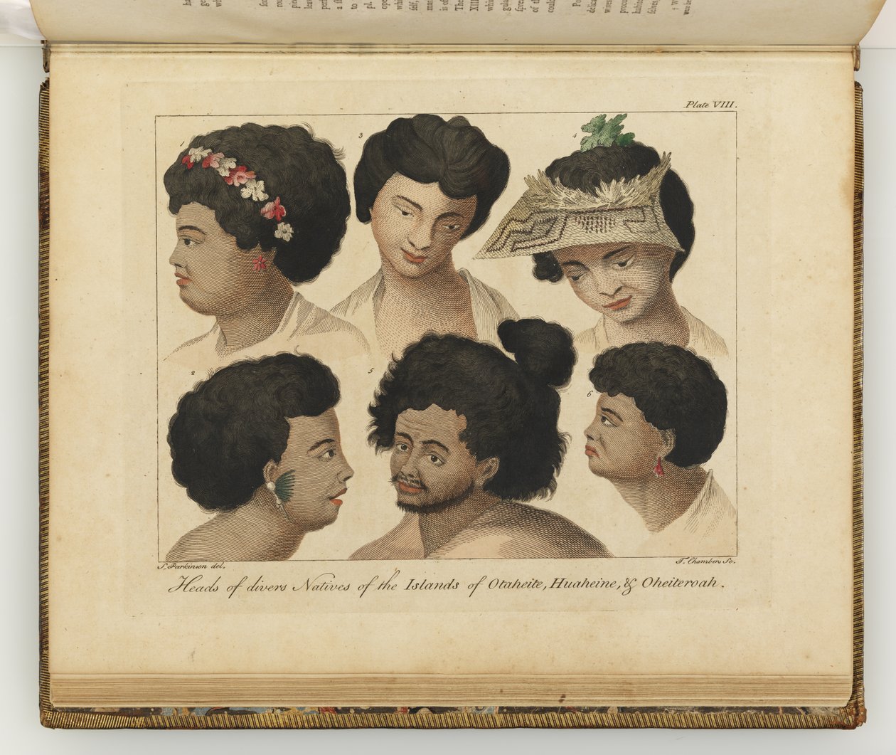 Erilaisten alkuperäiskansojen päitä, kuva Etelämeren matkan päiväkirjasta: His Majestys -laivassa, Endeavour, 1794 (käsinvärinen kaiverrus) tekijältä Sydney