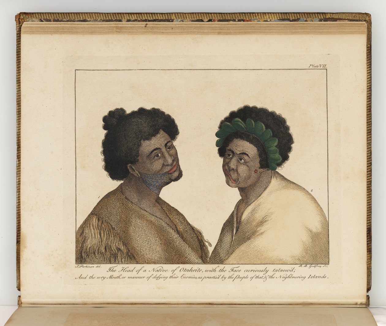 Otaheitelaisen syntyperäisen pää, kuva Etelämeren matkan päiväkirjasta: His Majestysin aluksessa, Endeavour, 1794 (käsinvärinen kaiverrus) tekijältä Sydney