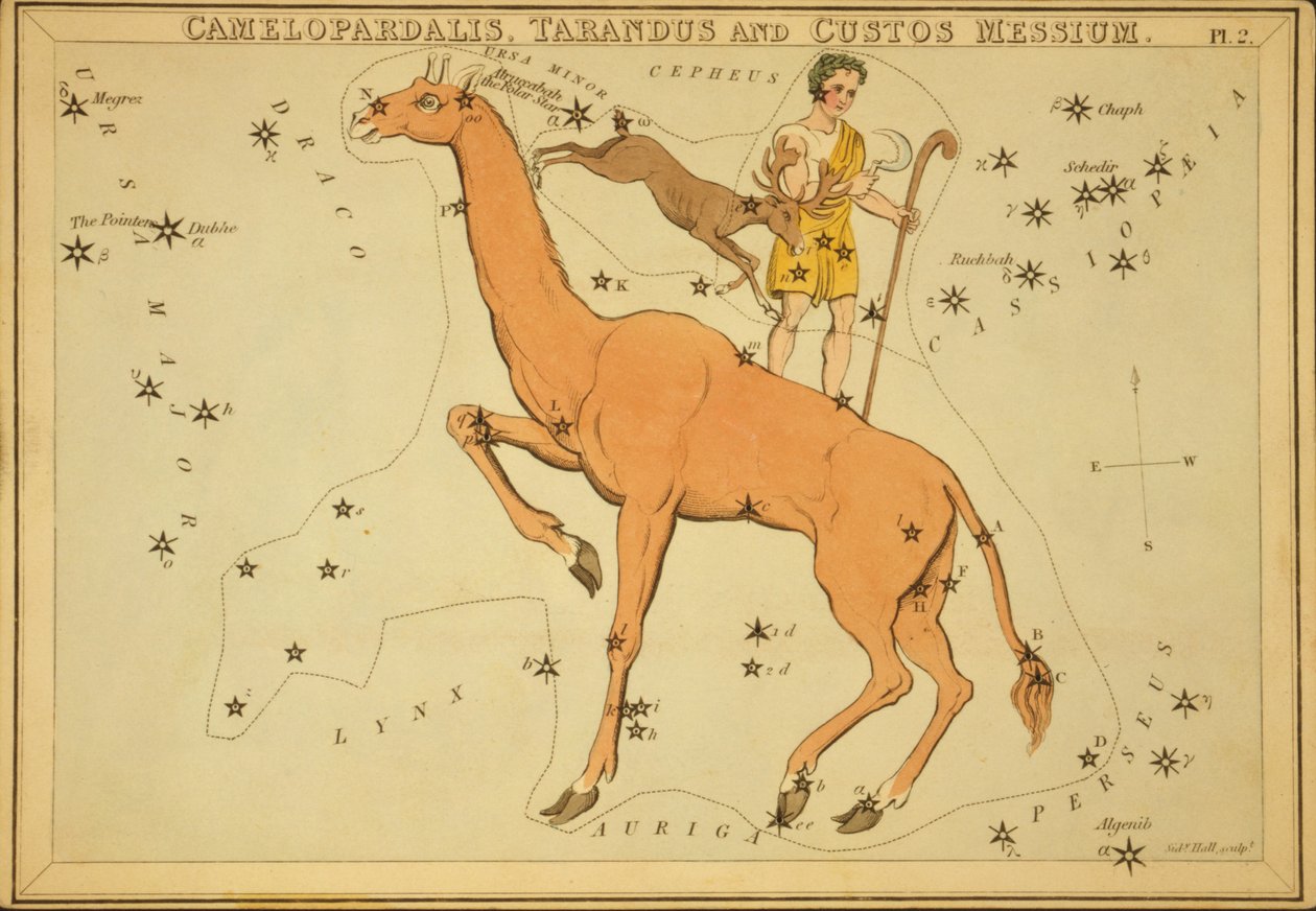 Camelopardalis, Tarandus ja Custos Messium, kuvitus "Uranian peilistä" tekijältä Sydney Hall