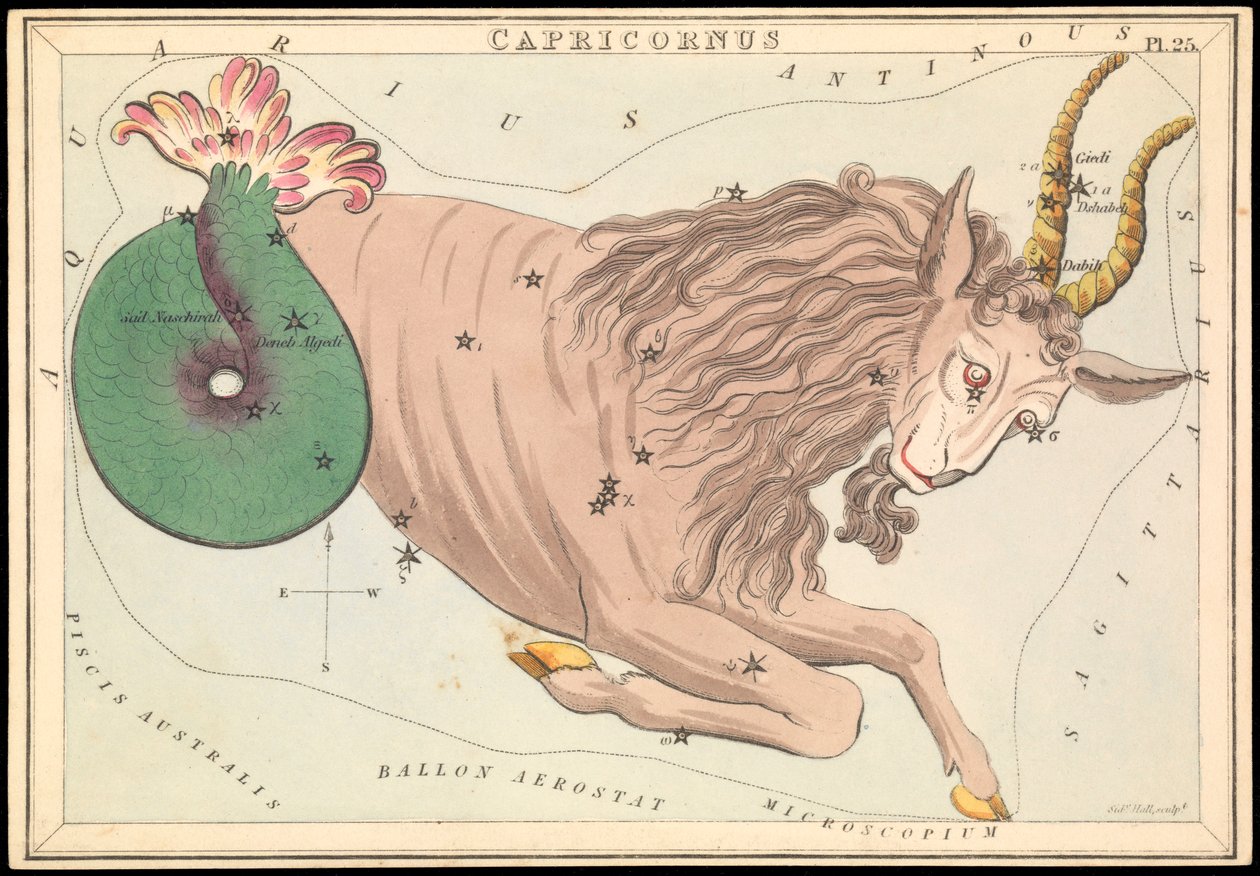 Capricornus, n.1825 (kortti, paperi, kudos ) tekijältä Sydney Hall