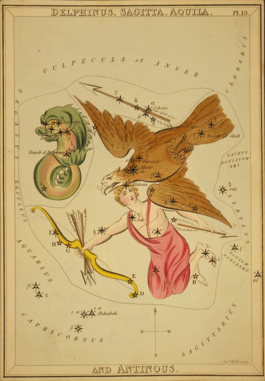 Delphinus, Sagitta, Aquila ja Antinous, kuvitus "Uranian peilistä" tekijältä Sydney Hall
