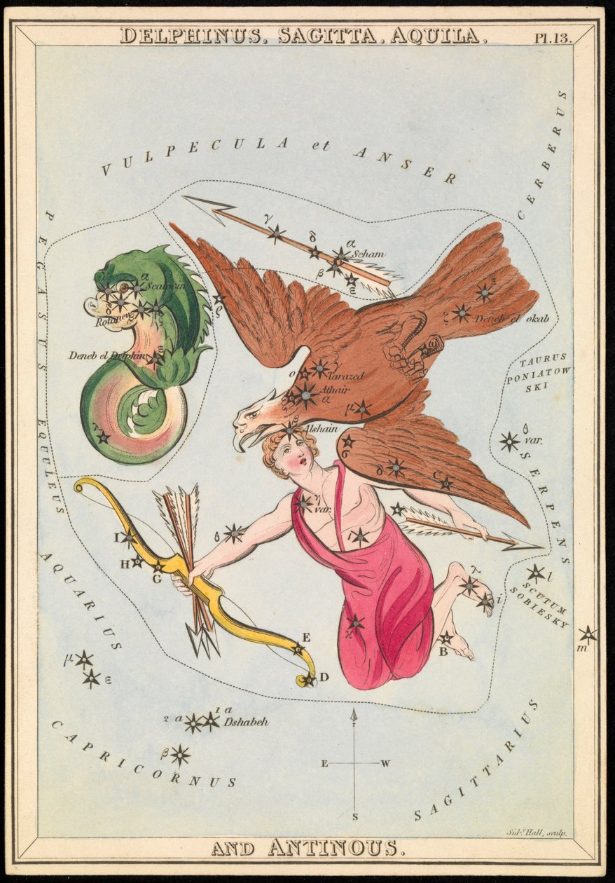 Delphinus, Sagitta, Aquila ja Antinous, n.1825 (kortti, paperi, kudos). tekijältä Sydney Hall