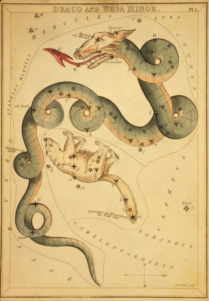 Draco ja Ursa Minor, kuvitus "Uranian peilistä" tekijältä Sydney Hall