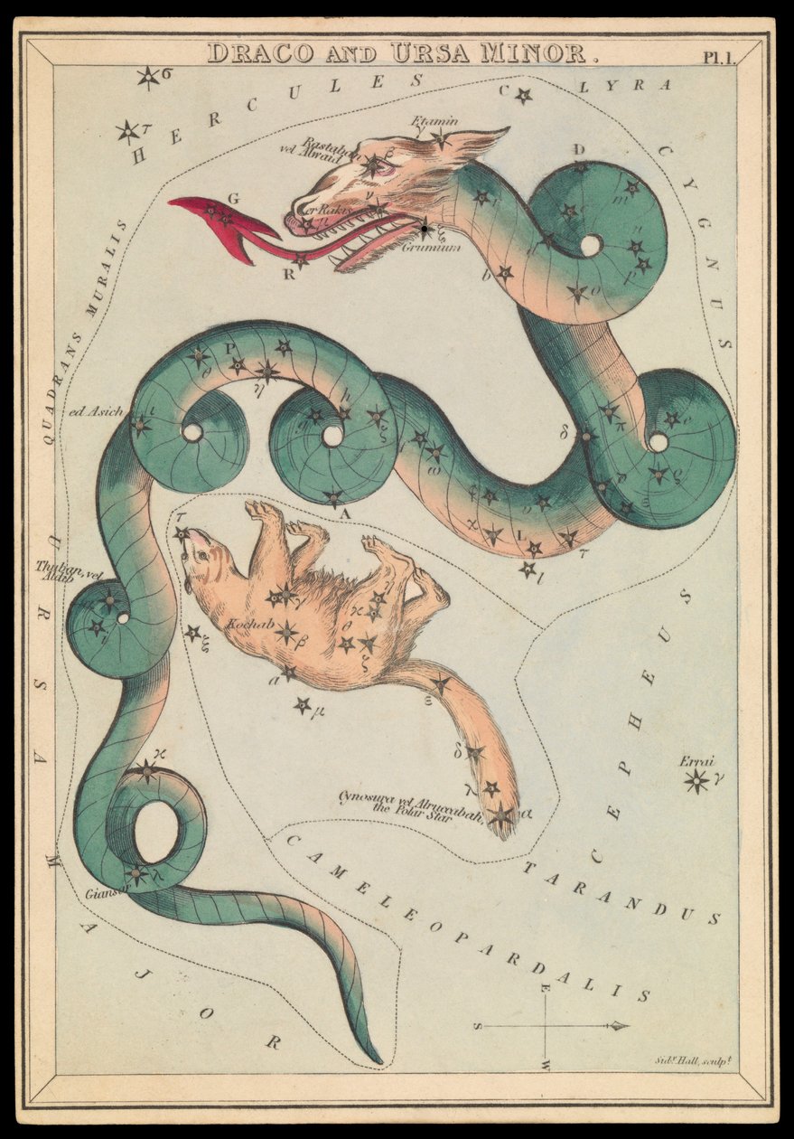 Draco ja Ursa Minor, n.1825 (kortti, paperi, kudos ) tekijältä Sydney Hall