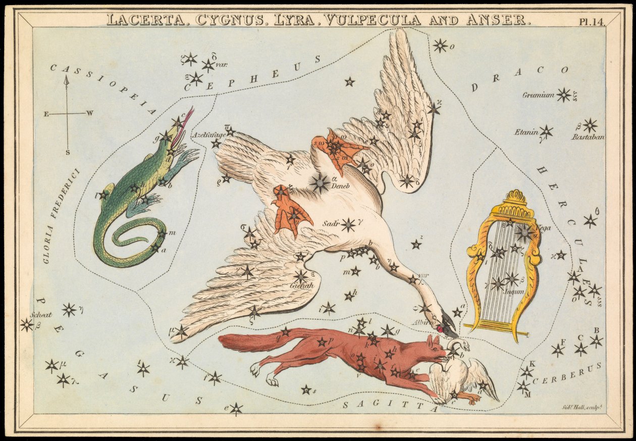 Lacerta, Cygnus, Lyra, Vulpecula ja Anser, n.1825 (kortti, paperi, kudos). tekijältä Sydney Hall