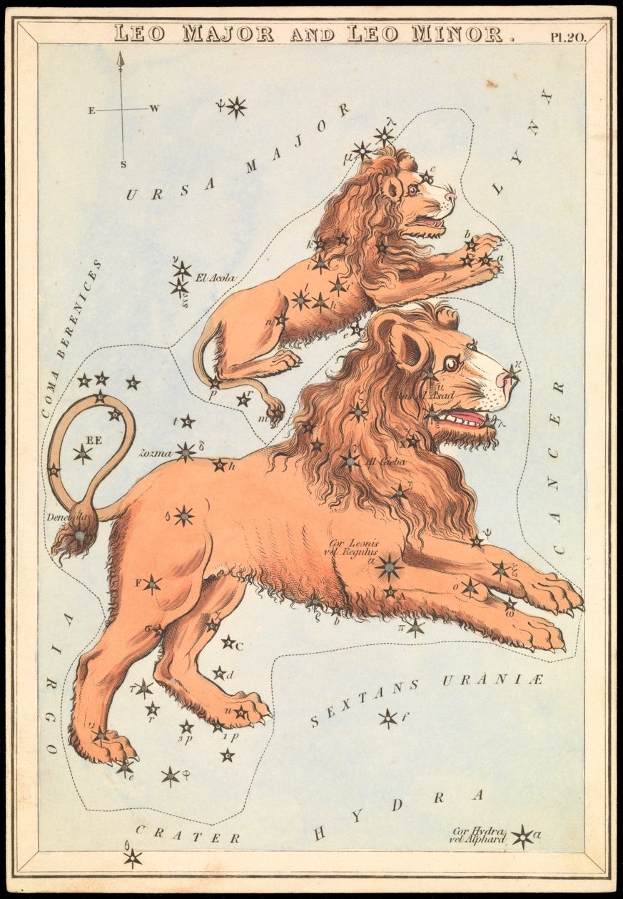 Leo Major ja Leo Minor, n.1825 (kortti, paperi, kudos ) tekijältä Sydney Hall