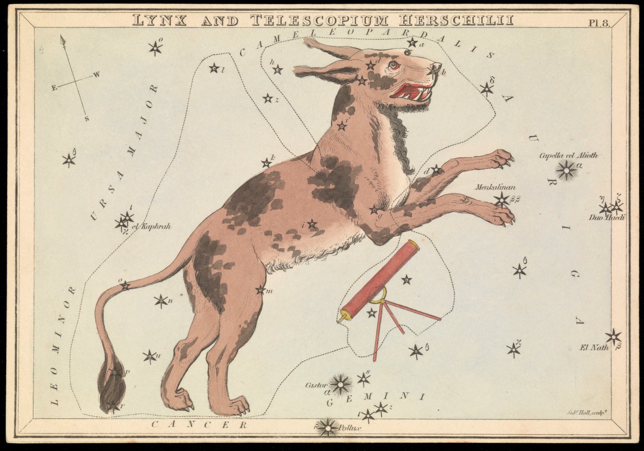 Ilves ja Telescopium Hereschilii, noin 1825 (kortti, paperi, kudos ) tekijältä Sydney Hall