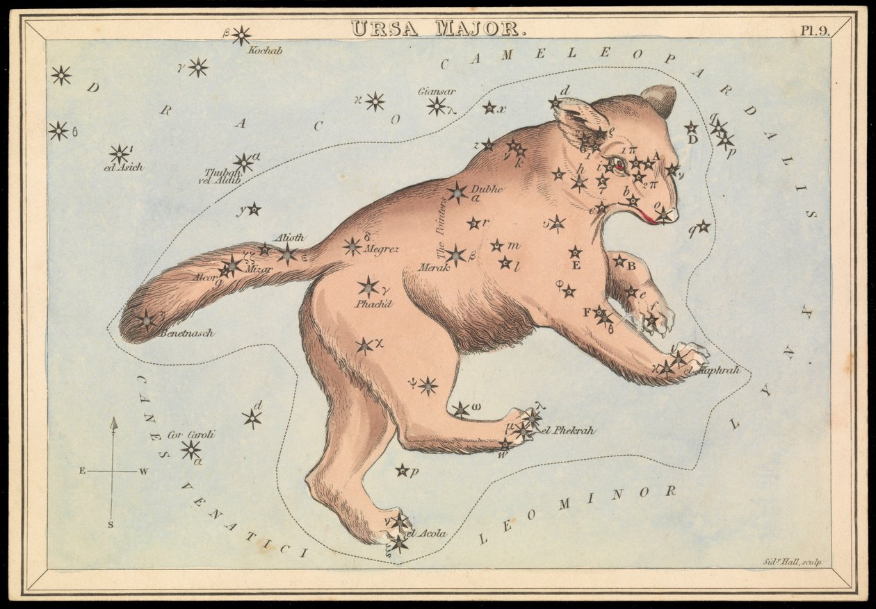 Ursa Major, n.1825 (kortti, paperi, kudos). tekijältä Sydney Hall