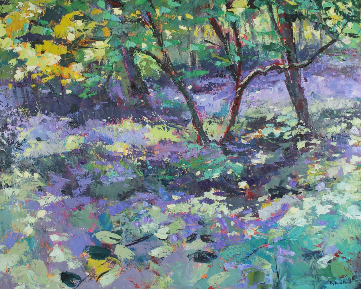 Bluebell Glade tekijältä Sylvia Paul