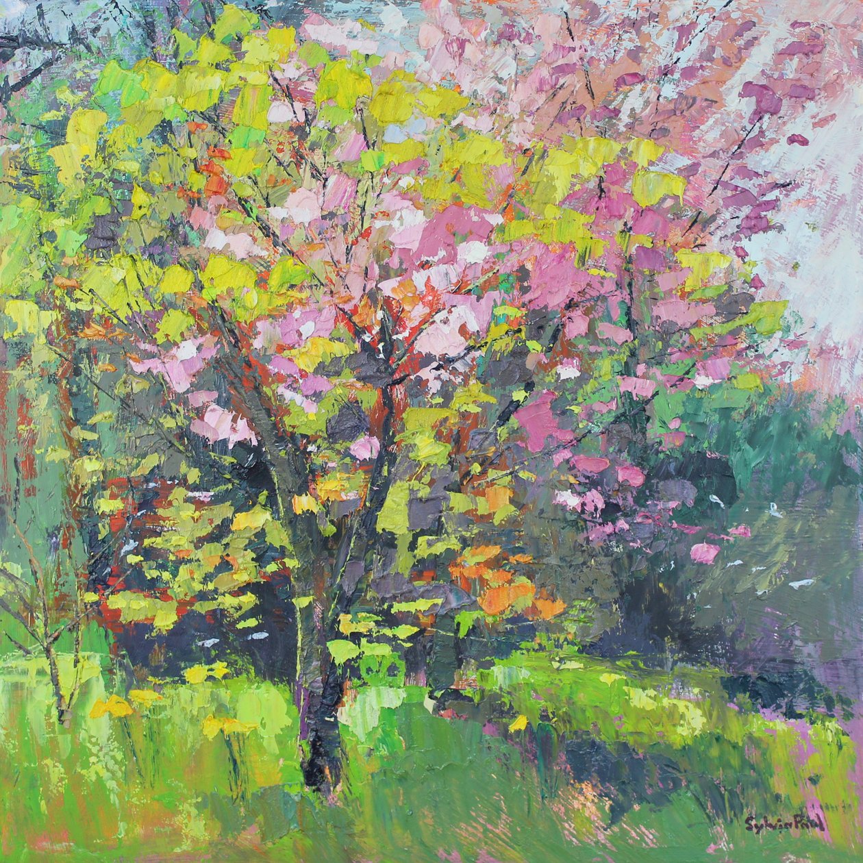 Blossom Delight tekijältä Sylvia Paul
