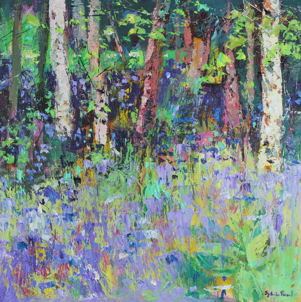 Bluebell aika tekijältä Sylvia Paul