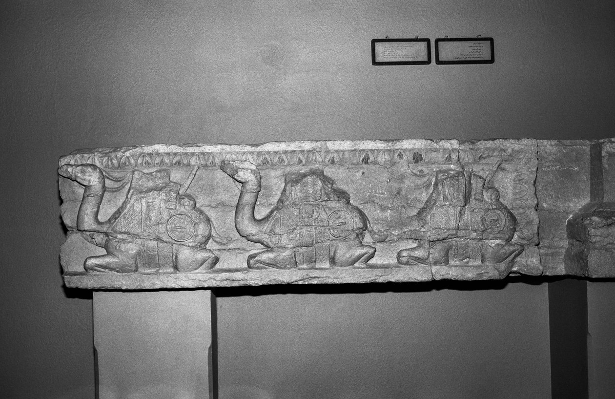 Camel relief (kivi) tekijältä Syrian