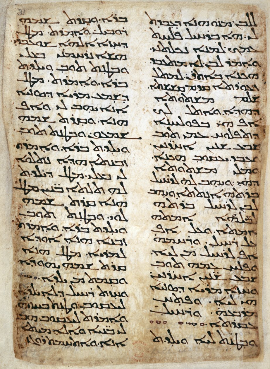 Lisätä. 14425, f.31, tekstisivu Pentateuchista. (Genesis, Exodus, Numbers, Deuteronomy), 464 (vellum) tekijältä Syrian Syrian