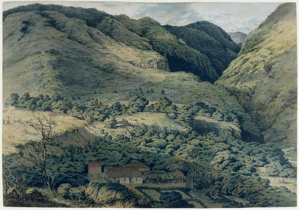 Roko ja joki St. Denisissä, Bourbonissa, 1814 tekijältä T. Bradshaw