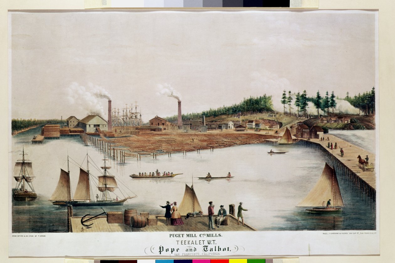 Näkymä Puget Mill Companyn puutavaratehtaalle Teekaletissa, 1856. tekijältä T. Grob