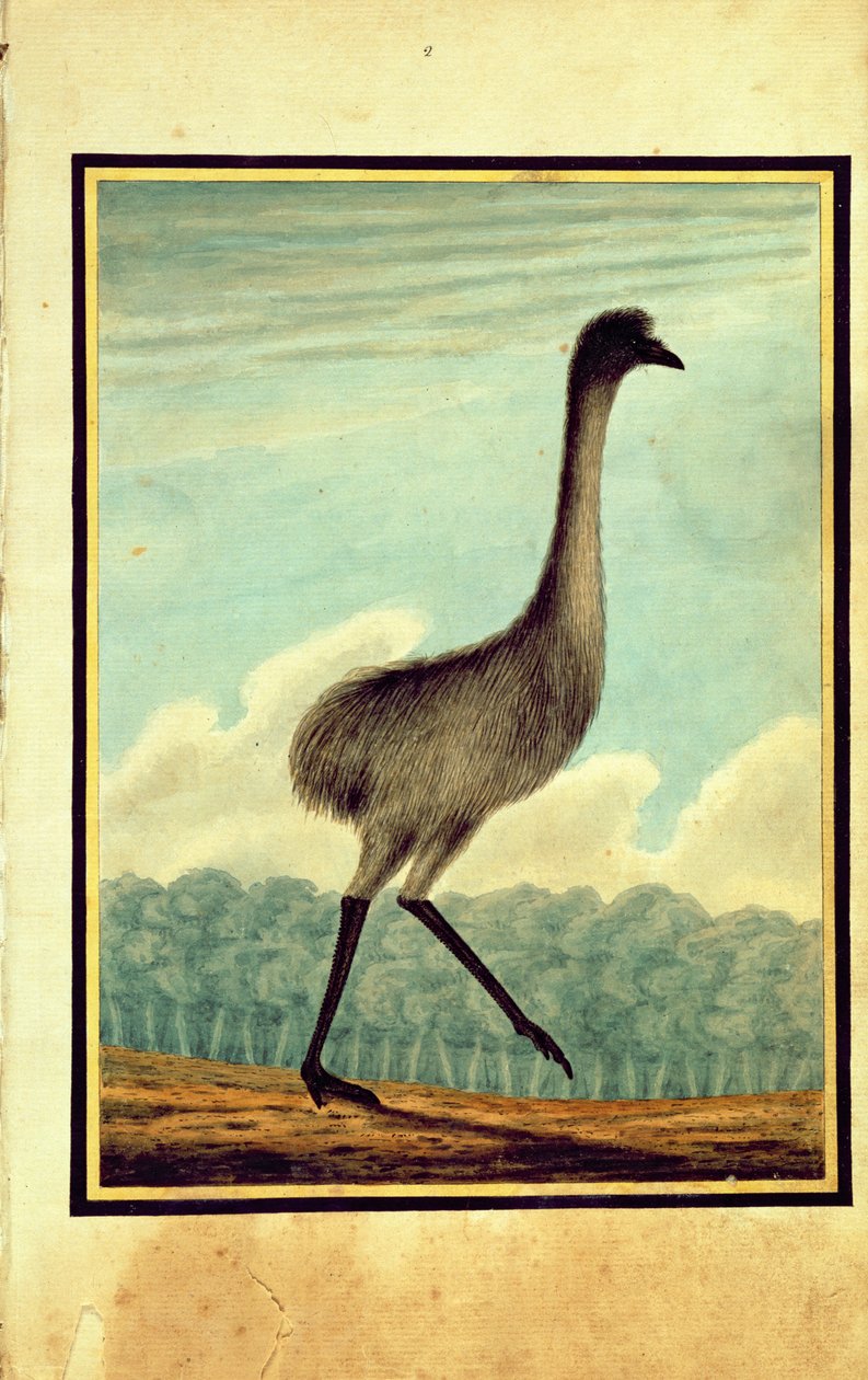 Emue (sic), 1813 tekijältä T.R. Browne
