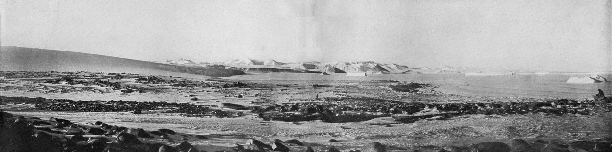 Panorama Cape Robertsista katsomassa pohjoiseen, c1911, 1913. tekijältä T. Griffith Taylor