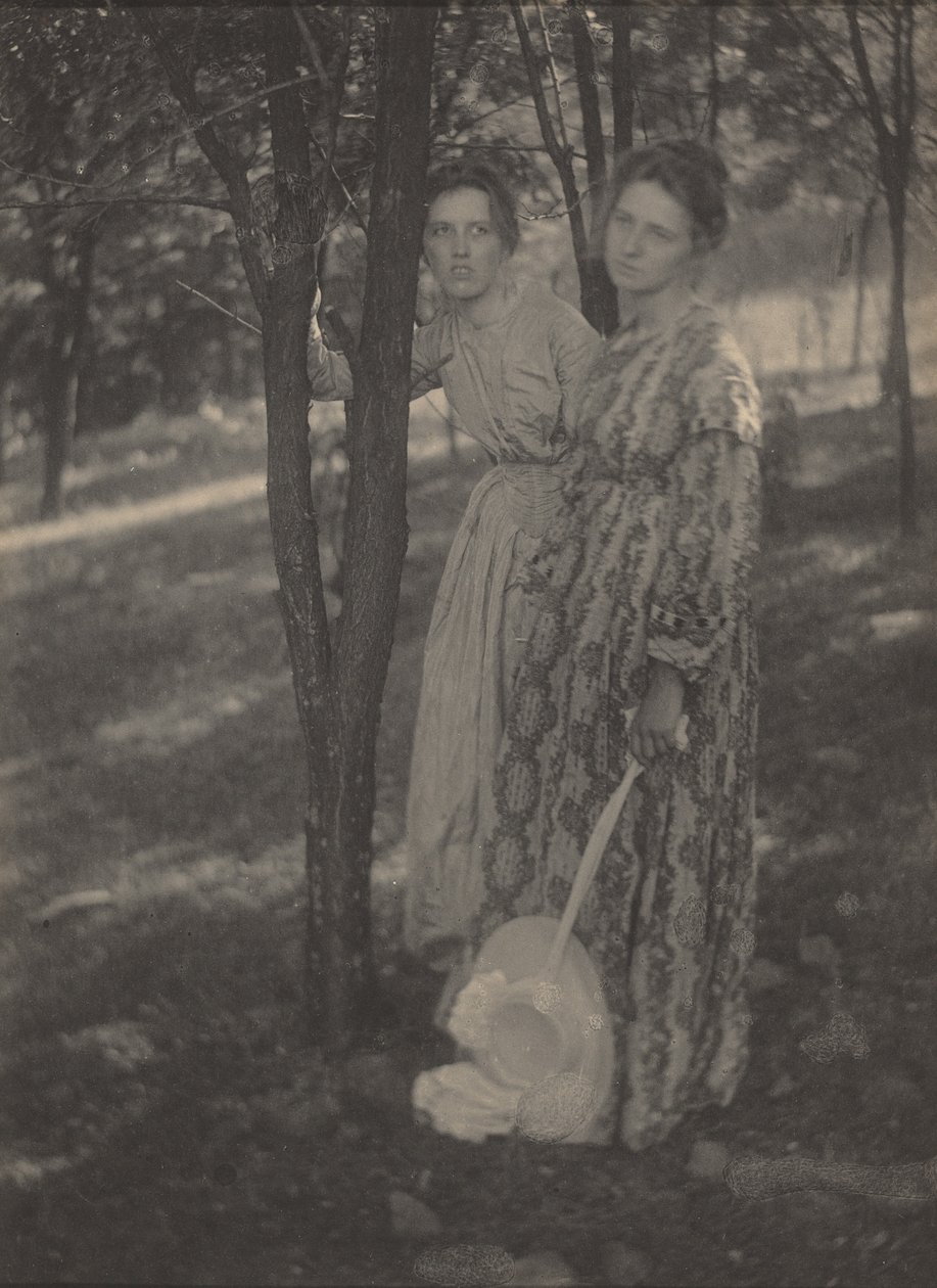 In the Woods,c. 1899 (kuva) tekijältä T. M. Edmiston