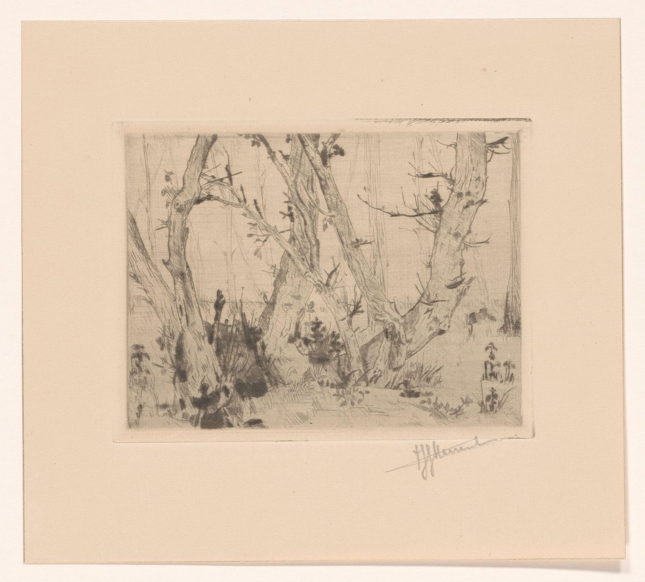 metsänäkymä tekijältä T. Sterrenburg (signed by artist)