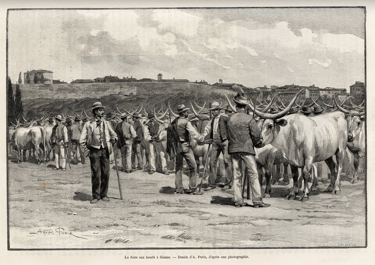 Naudanlihamessut Sienassa (Italia). Taylorin kaiverrus havainnollistamaan Eugene Muntzin (1845-1902) tarinaa "A travers la Toscane" Le tour du Mondessa 1892, ohjaajana Edouard Charton (1807-1891), Hachette, Pariisi. tekijältä T Taylor