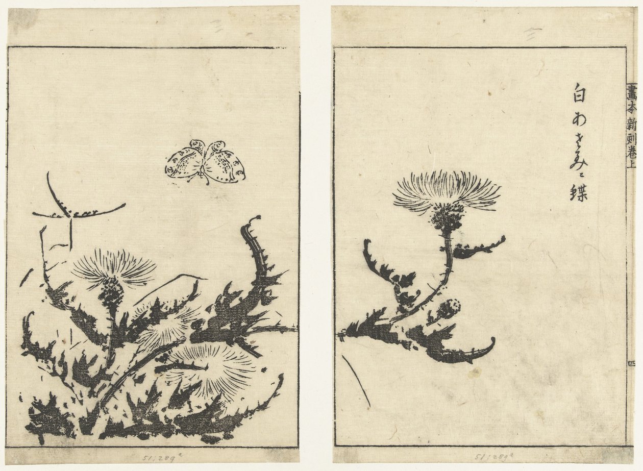 di s te ls en v in r gahon shinkoku makiage tekijältä Tachibana Morikuni (attributed to)