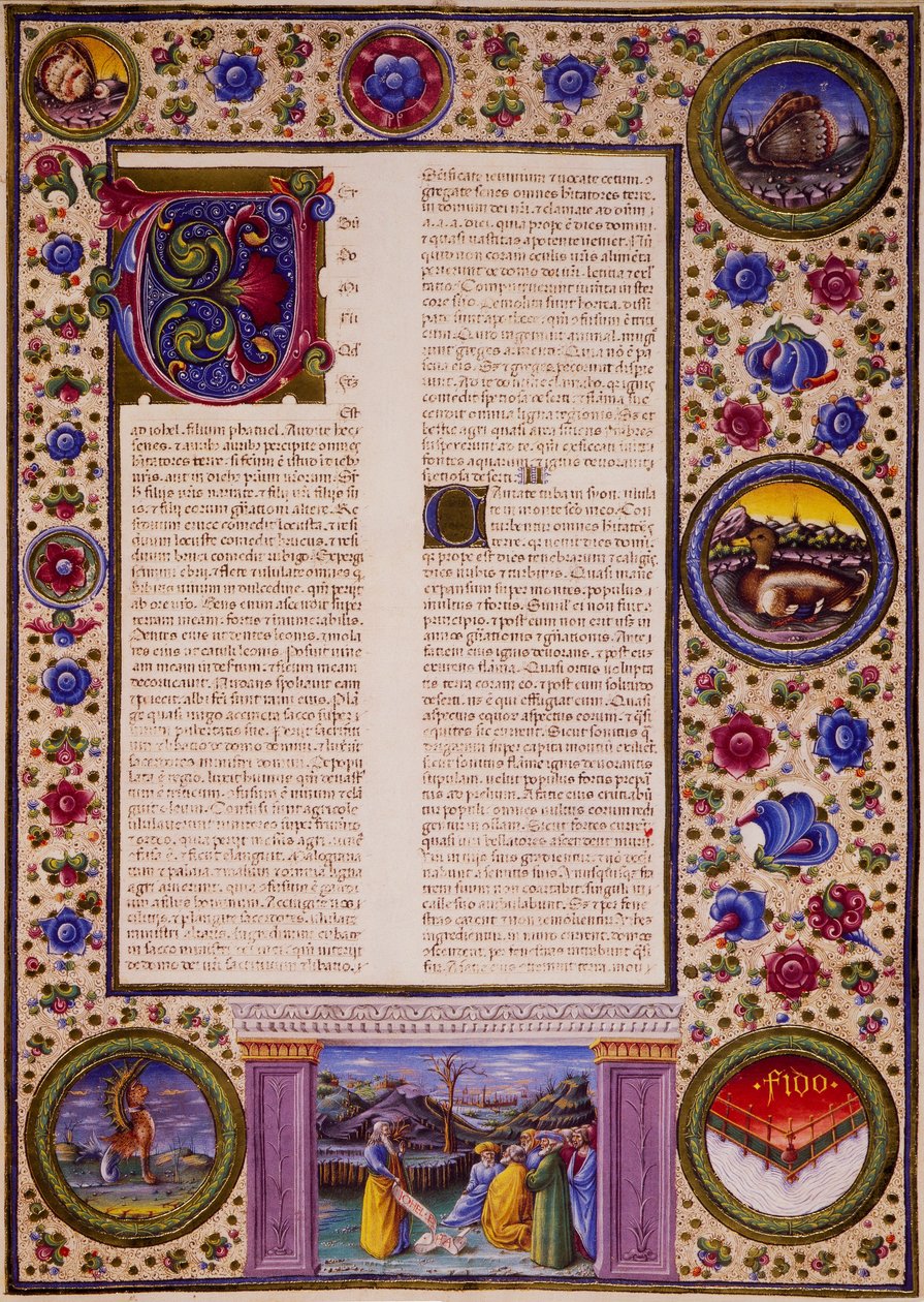Incipit del Llibre de Joel, del volum II de la Bíblia de Borso d