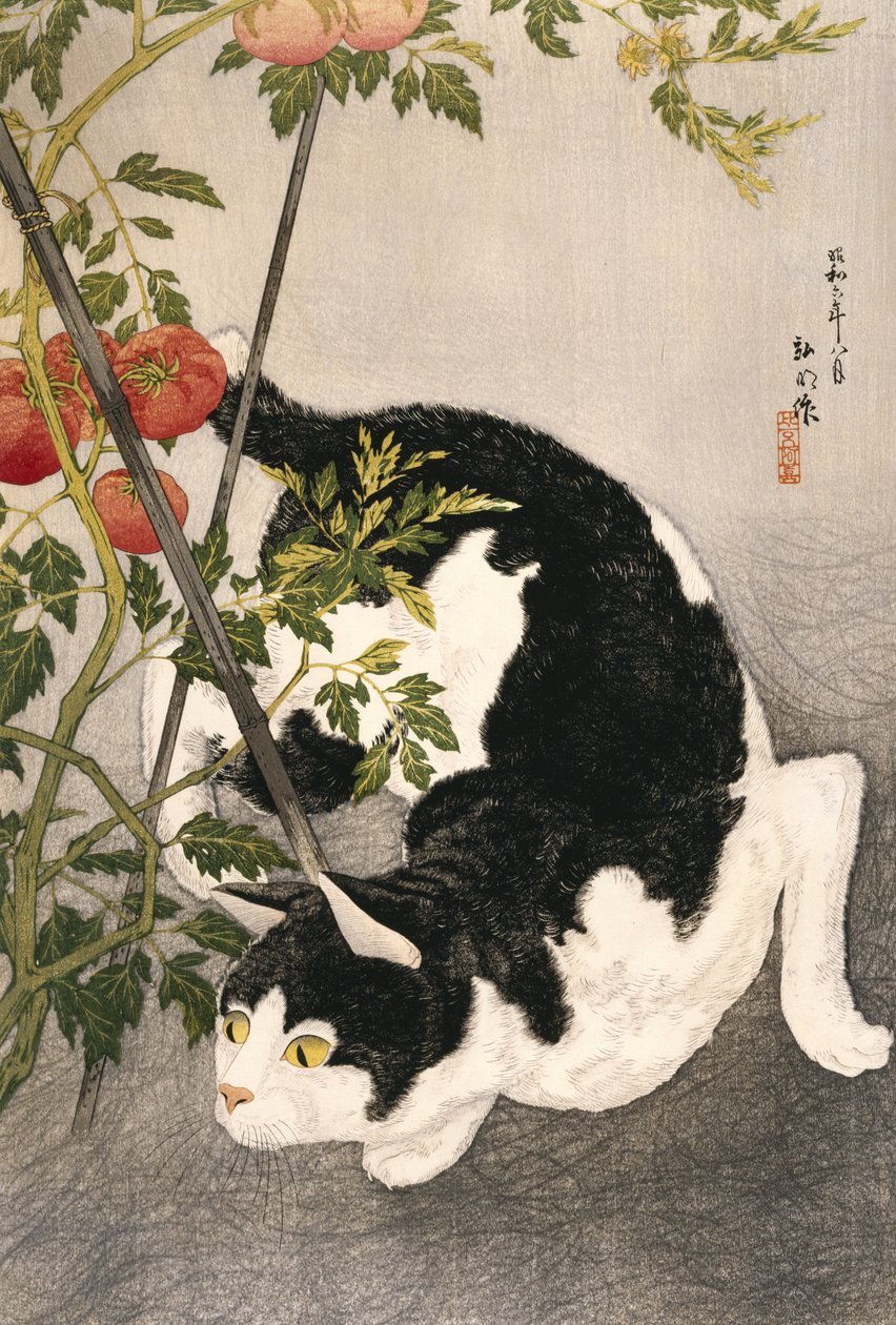 Kissa vaeltelee tomaattikasvin ympärillä, 1931 (puupainatus) tekijältä Takahashi Hiroaki