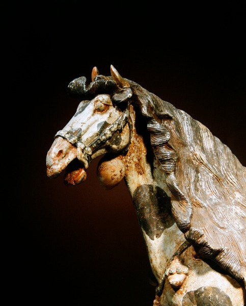 Yksityiskohta hevosesta, 7. vuosisadan loppu - 8. vuosisadan alku (keramiikka, jossa pigmenttijälkiä ja kullattu) tekijältä Tang Dynasty Chinese School