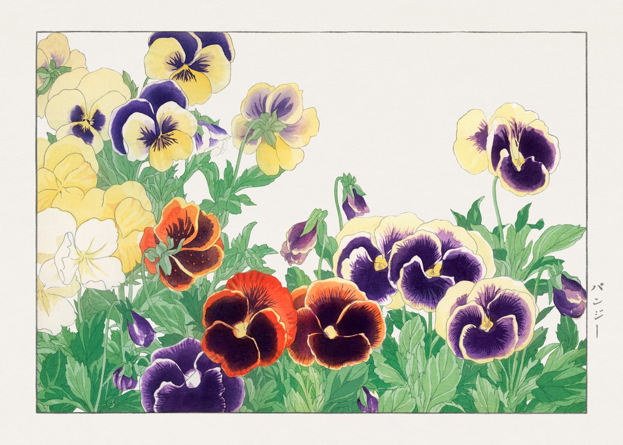 Vintage pansy kukka alkaen "Seiyou Sokazufu" tekijältä Tanigami Konan