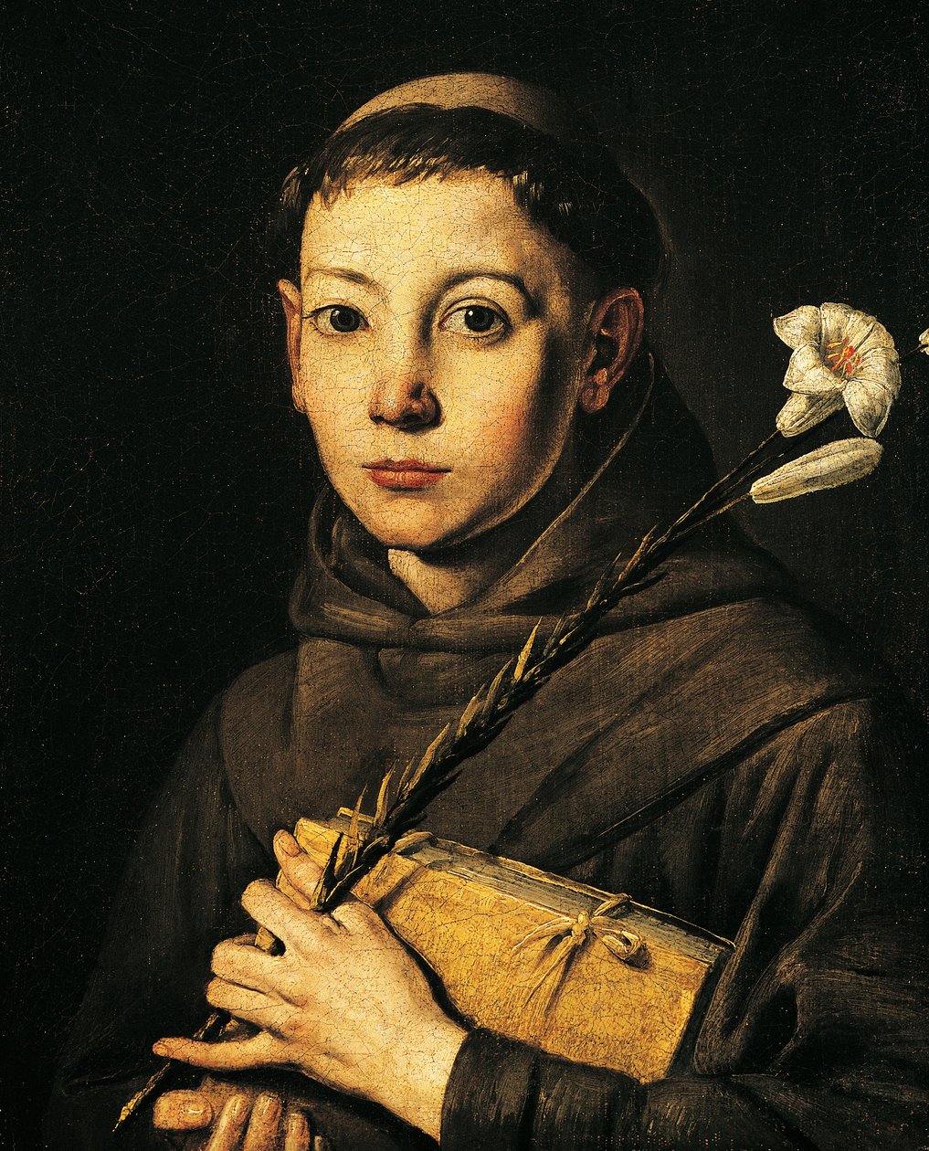 Pyhä Antonius Padovalainen, Antonio d