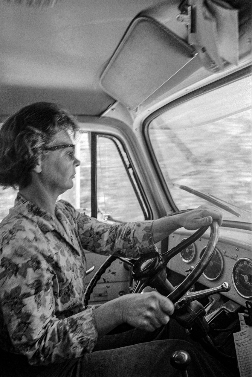 Mildred Cooper on 43-vuotias isoäiti, on kuorma-autonkuljettaja, jolla on tukkirekka... tekijältä Ted Spiegel