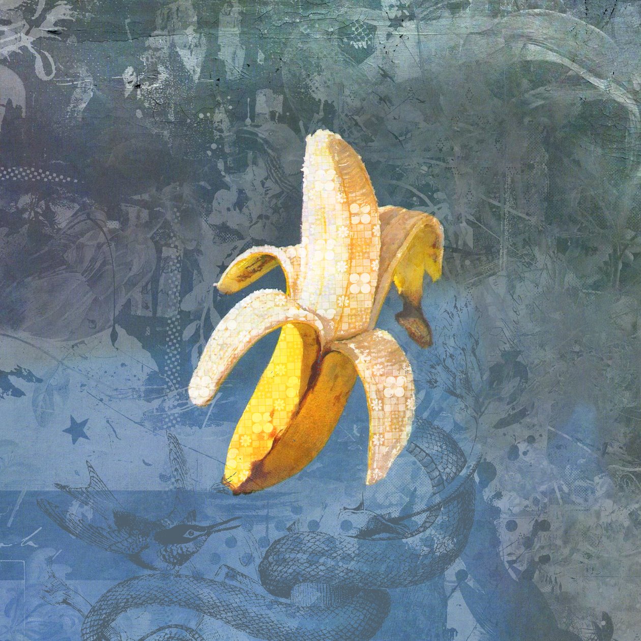 BANANAZ, 2015 (Colagem sobre tela) finlandês tekijältä Teis Albers