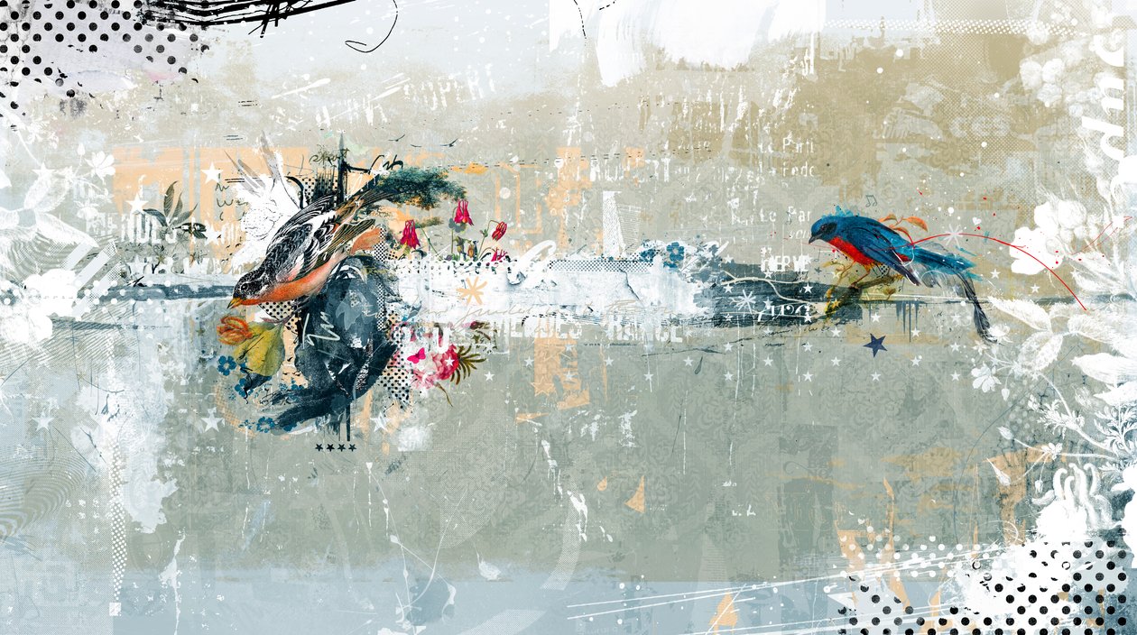 Birdalicious, 2014 (kollaasi kankaalle) tekijältä Teis Albers