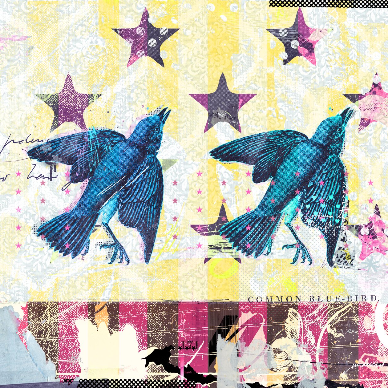 Birds in Serie, 2015 (kollaasi kankaalle) tekijältä Teis Albers