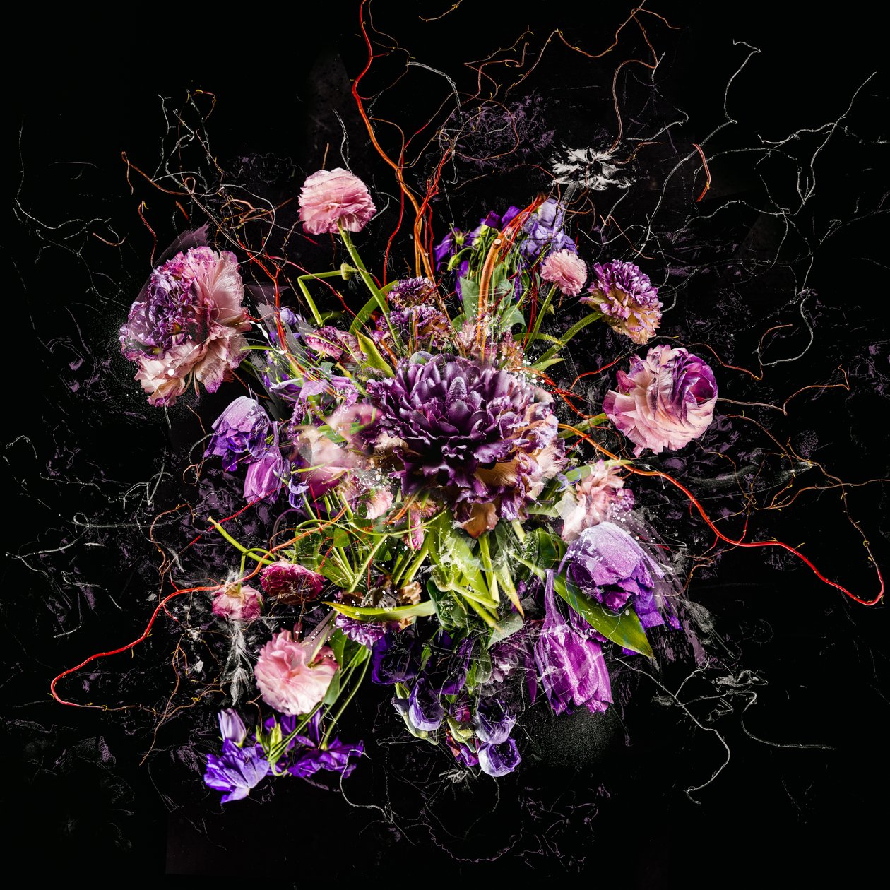 Bouquet IV, 2017 (kuva) tekijältä Teis Albers
