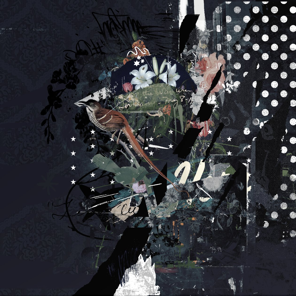Floralbirds, 2017 (kollaasi kankaalle) tekijältä Teis Albers