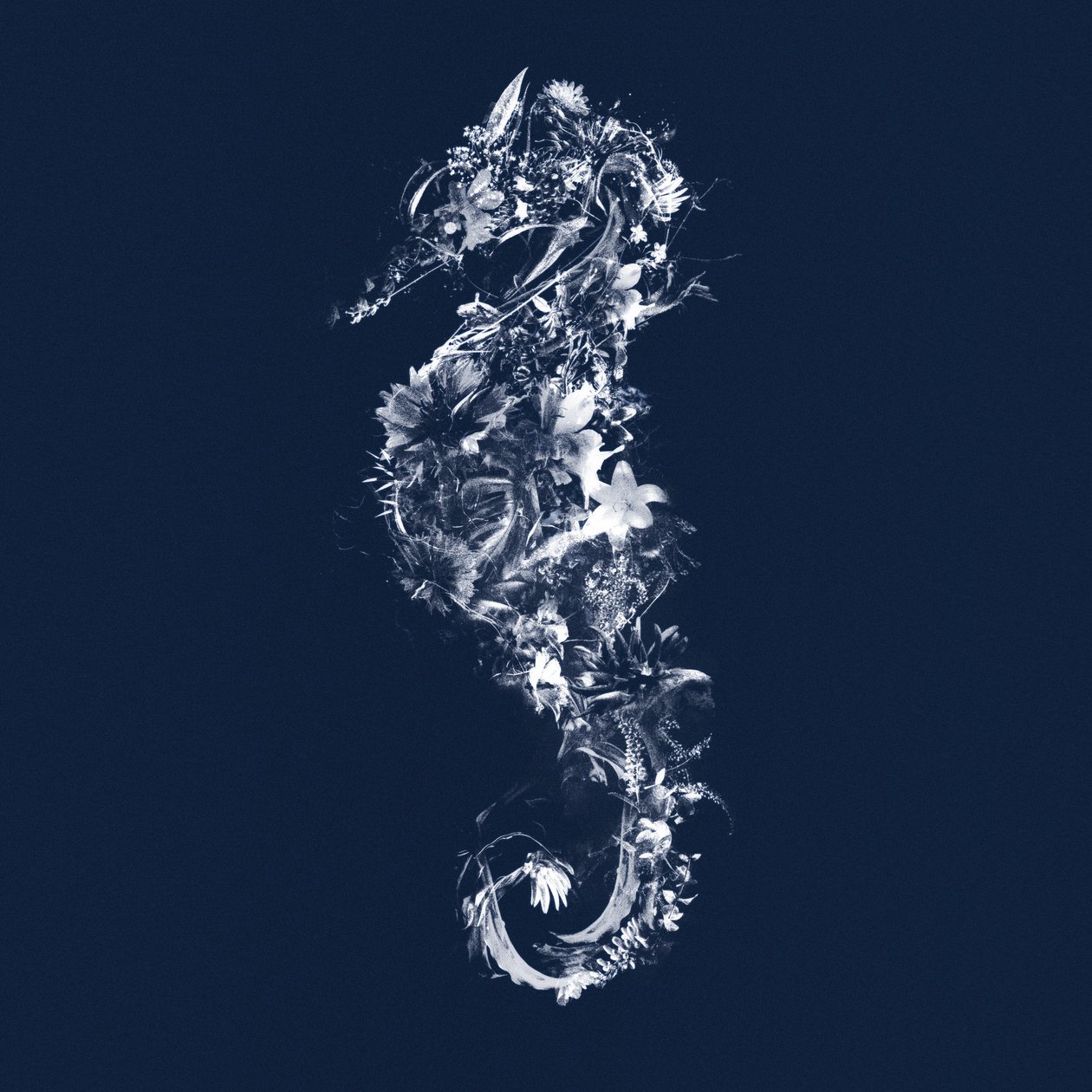 Floralseahorse, 2019 (sekoitettu media kankaalle) tekijältä Teis Albers