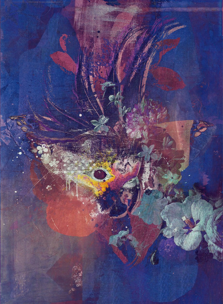Peacock, 2016 (kollaasi kankaalle) tekijältä Teis Albers