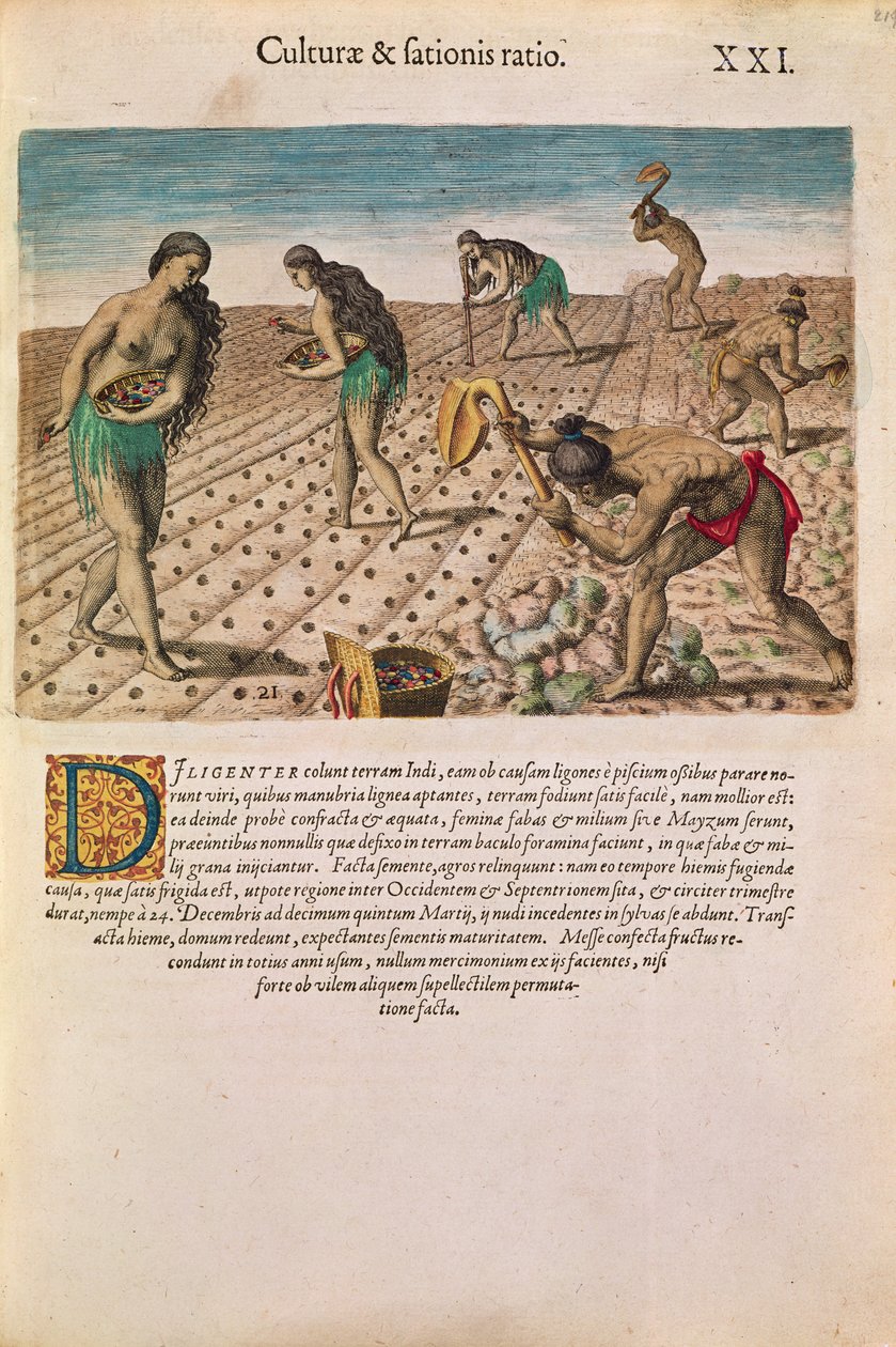 Floridan intiaanit istuttivat maissia, "Brevis Narratio...", julkaisija Theodore de Bry, 1591 (katso myös 111671) tekijältä after Le Moyne, J.Bry