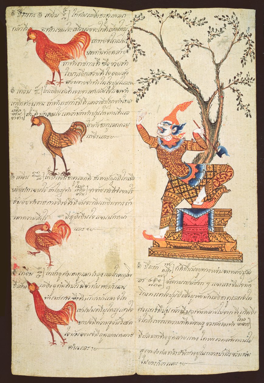 CBL Thi 1302 Kaksi sivua havainnollistavat kukon vuotta, ennustamisoppaasta, n. 1840 (kynä & muste ja guassi khoi-paperilla) tekijältä Thai School