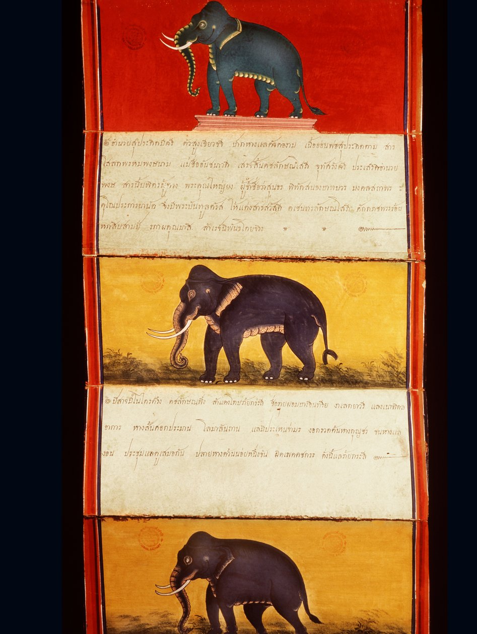 Folio norsujen koulutusta käsittelevästä käsikirjoituksesta (kynä & muste ja wc paperilla) tekijältä Thai School