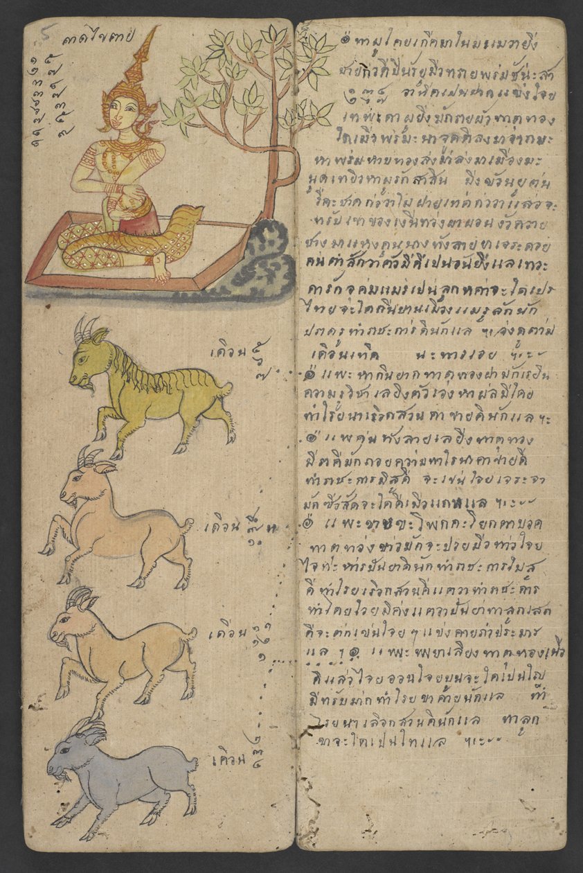 Tai 16455 f.5r, Animals from the Zodiac, from Phrommachat (pergamentti) tekijältä Thai School