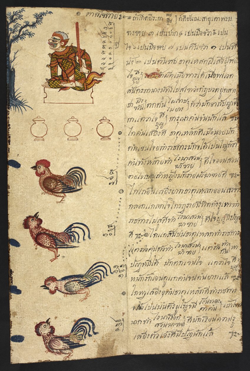 Tai 4830 f.20 The Year of the Rooster, "thaimaalaisesta ennustusoppaasta (Phrommachat), joka sisältää kiinalaisen horoskoopin perusteella horoskooppeja" (muste ja väri paperille) tekijältä Thai School