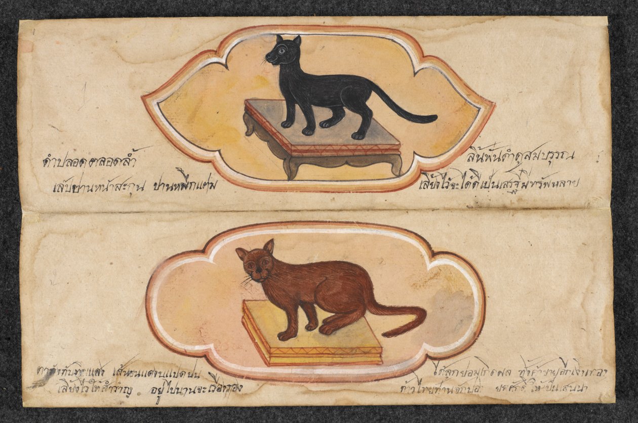 Siamikissat, Fol. 1: kaksi onnekasta kissaa tukemaan liiketoimintaa ja varallisuuden kertymistä, Or. 16797, f.1 (pergamentti) tekijältä Thai School