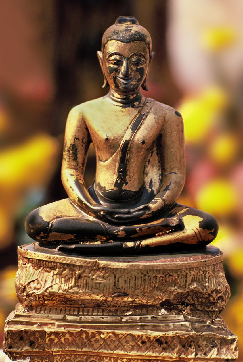 Buddha sai nimekseen Phra keo Don Tao tekijältä Thai School