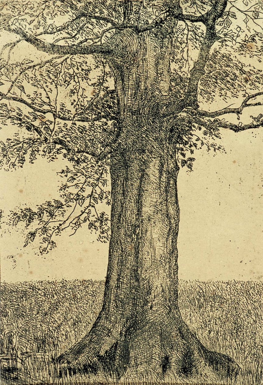 Puu tekijältä Theo van Doesburg