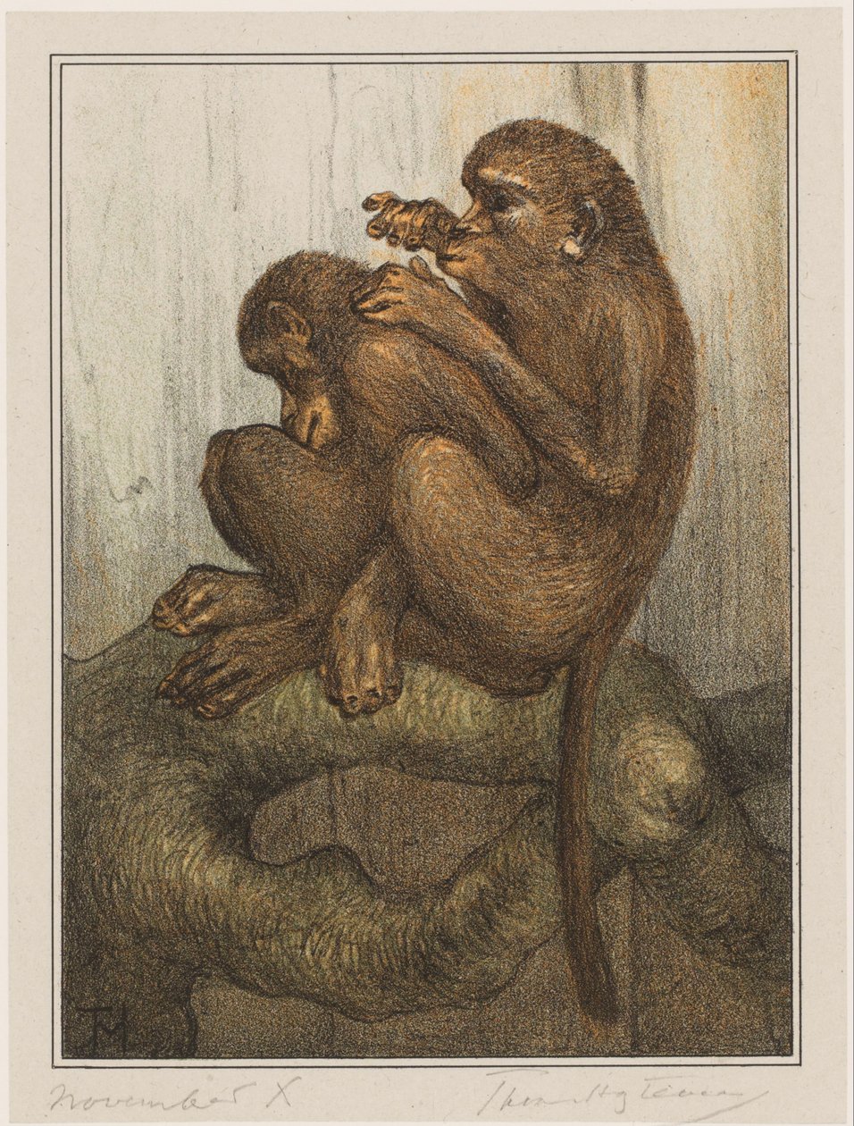 kirppuapinoita tekijältä Theo van Hoytema (signed by artist)