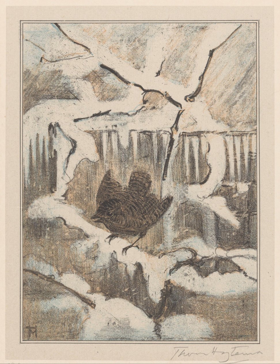 Wren lumisella oksalla tekijältä Theo van Hoytema (signed by artist)